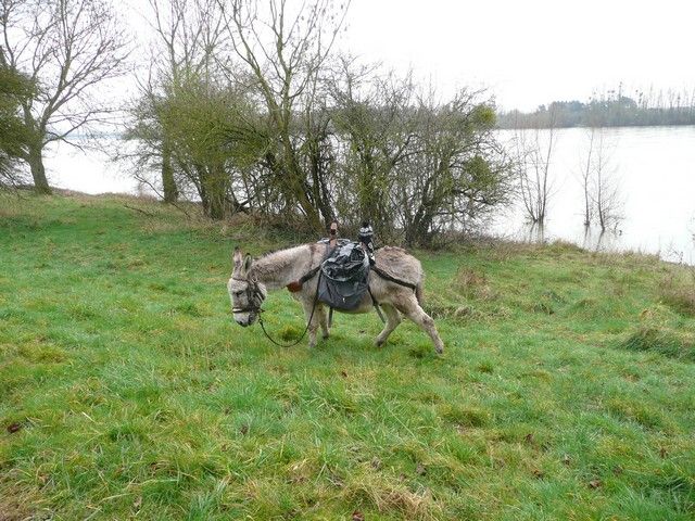 Loire propre 2014 (5).jpg